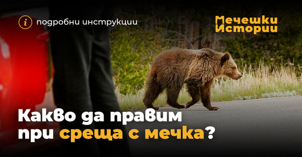 Какво да правим при среща с мечка?
