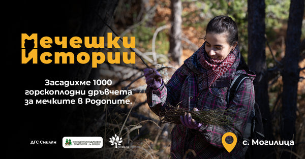Засадихме 1000 горскоплодни дръвчета в района на Могилица