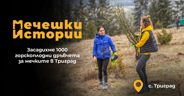 Засадихме 1000 горскоплодни дръвчета в района на Триград
